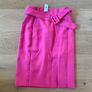 Ann Taylor Pink Pencil Skirt